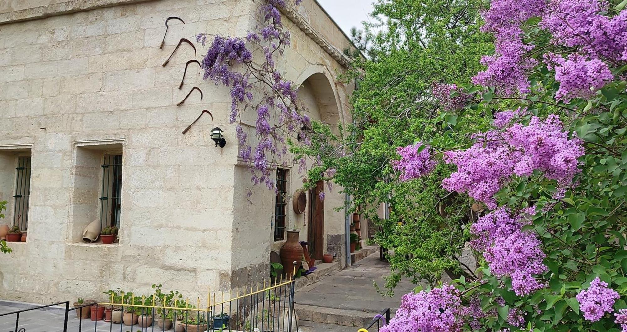 Armesos Cave Hotel Urgup Exterior photo